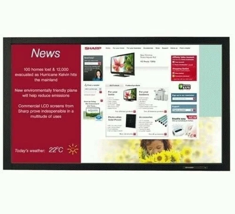 Монитори Професионален LCD монитор Sharp PN465E